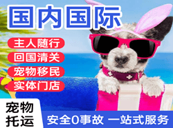 西双版纳航空快运国际宠物托运 【国